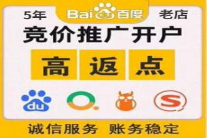 竞价SEM托管服务效果评估与案例分析